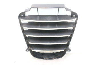 GRILLE RADIATEUR
