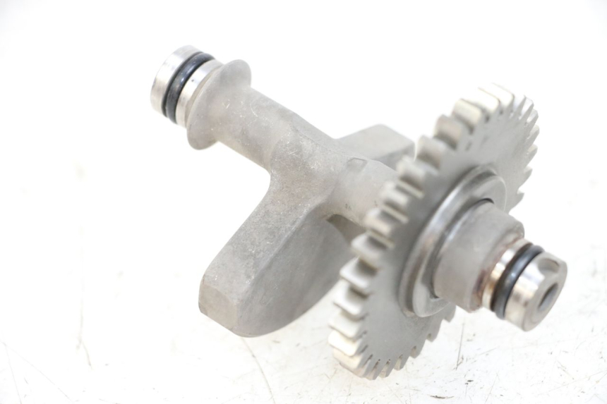 photo de BALANCIER MOTEUR SHERCO CITY CORP 125 (2003 - 2007)