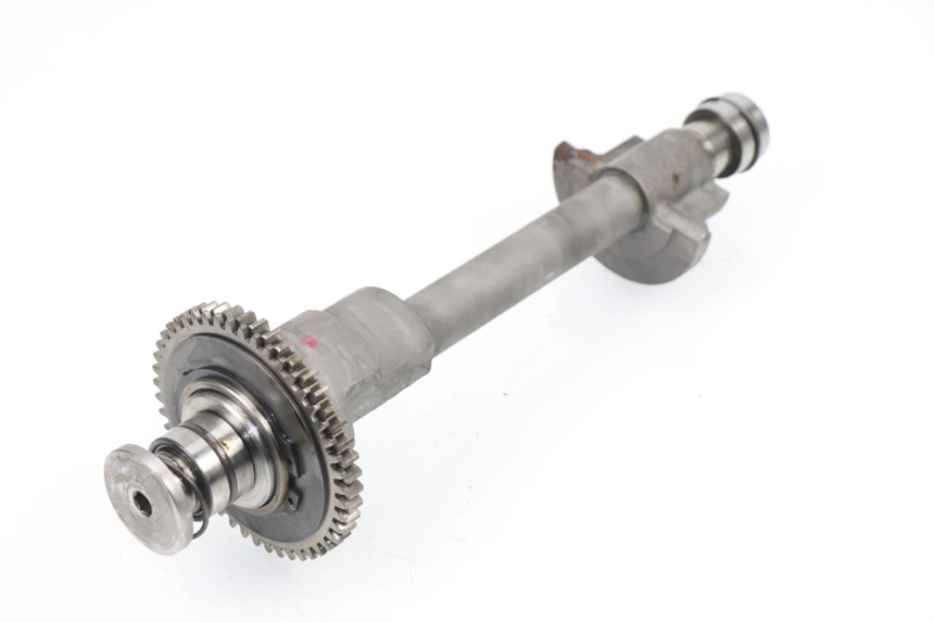 photo de BALANCIER MOTEUR TRIUMPH SPRINT RS 955 (2000 - 2001)