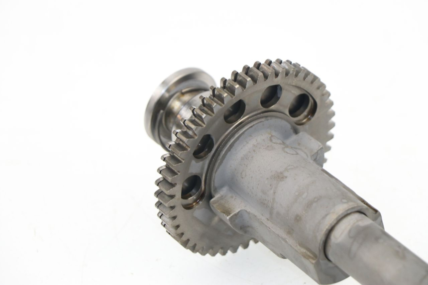 photo de BALANCIER MOTEUR TRIUMPH SPRINT RS 955 (2000 - 2001)