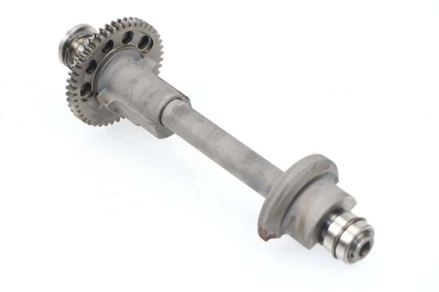 photo de BALANCIER MOTEUR TRIUMPH SPRINT RS 955 (2000 - 2001)