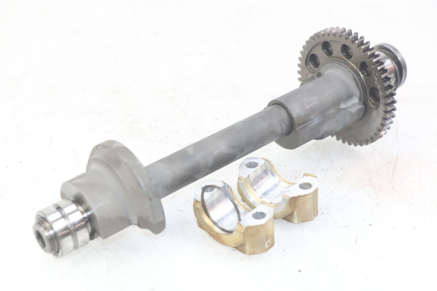 photo de BALANCIER MOTEUR TRIUMPH SPRINT ST 955 (1999 - 2001)