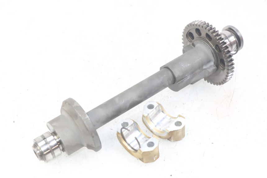 photo de BALANCIER MOTEUR TRIUMPH SPRINT ST 955 (1999 - 2001)