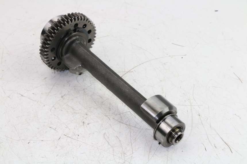 photo de BALANCIER MOTEUR TRIUMPH STREET TRIPLE 675 (2007 - 2012)