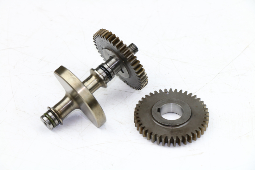 photo de BALANCIER MOTEUR YAMAHA WR X 125 (2009 - 2008)