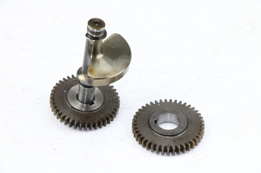 photo de BALANCIER MOTEUR YAMAHA WR X 125 (2009 - 2008)