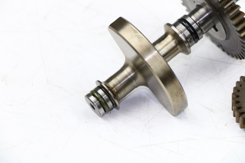 photo de BALANCIER MOTEUR YAMAHA WR X 125 (2009 - 2008)