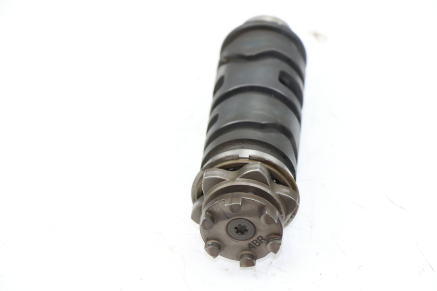 photo de BARILLET SELECTION YAMAHA XJS DIVERSION 600 (2000 - 2003)