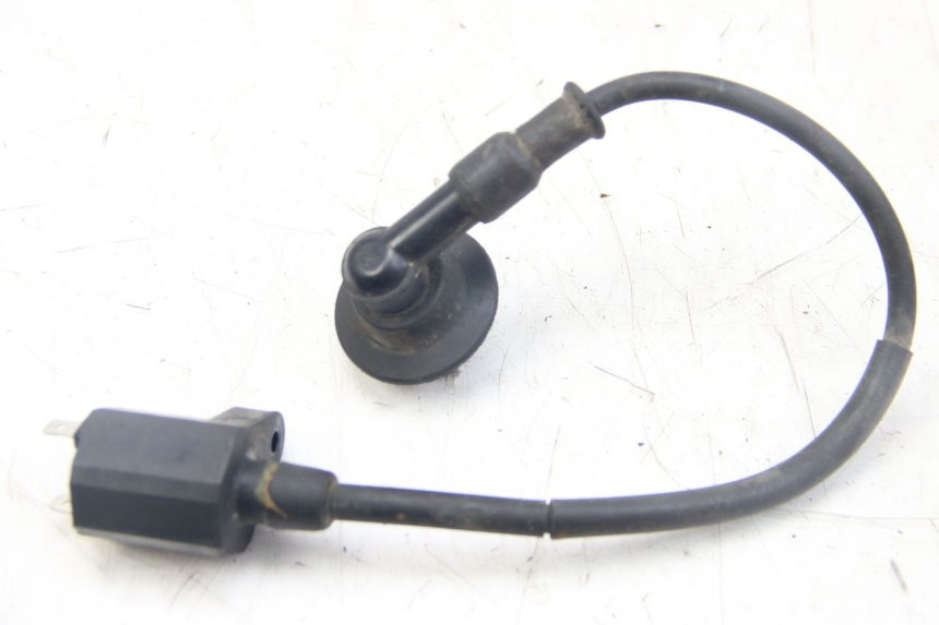 photo de BOBINE PGO BIG MAX 50 (2001 - 2009)