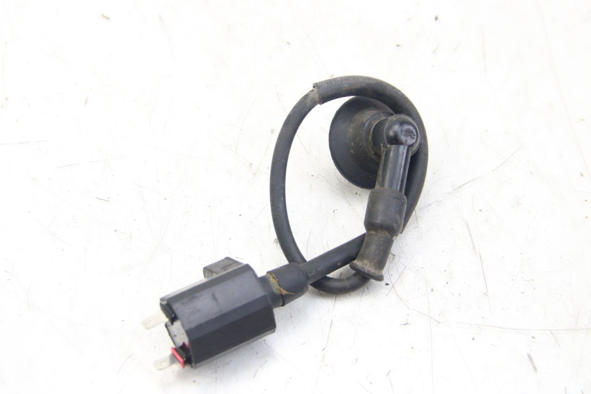 photo de BOBINE PGO BIG MAX 50 (2001 - 2009)