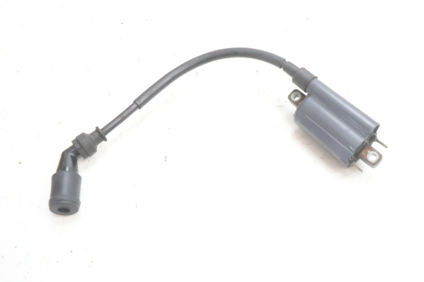 photo de BOBINE SUZUKI BURGMAN 125 (2007 - 2014) - Vue d’ensemble