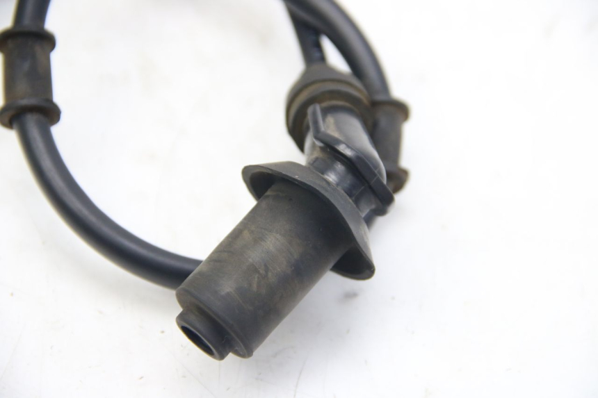 photo de BOBINE LONGJIA DIGITA 4T 50 (2019 - 2022)