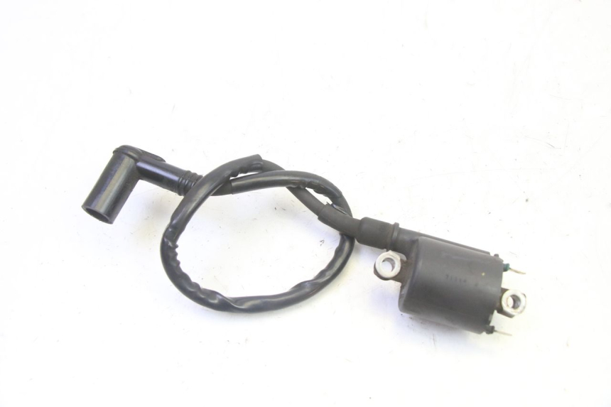 photo de BOBINE HONDA FES S-WING SWING ABS 125 (2007 - 2015)