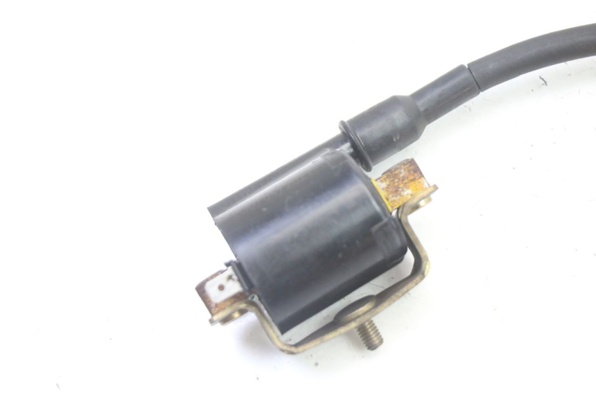 photo de BOBINE PEUGEOT KISBEE 4T 50 (2018 - 2022)