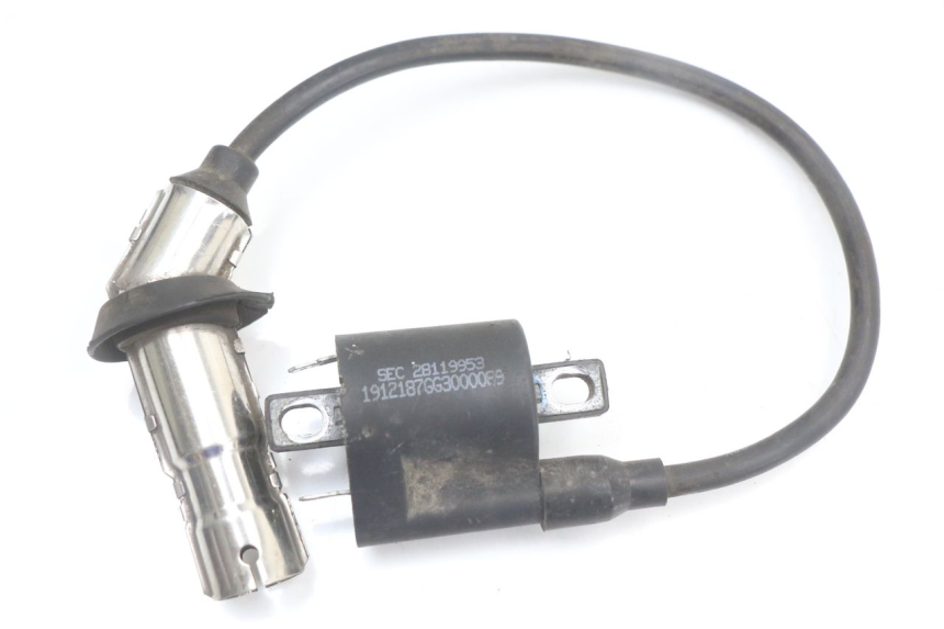 photo de BOBINE LONGJIA EASY MAX 125 (2020 - 2024)