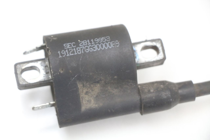 photo de BOBINE LONGJIA EASY MAX 125 (2020 - 2024)