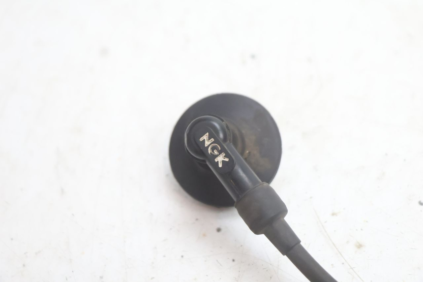 photo de BOBINE PEUGEOT LUDIX 50 (2005 - 2007) - Gros plan technique