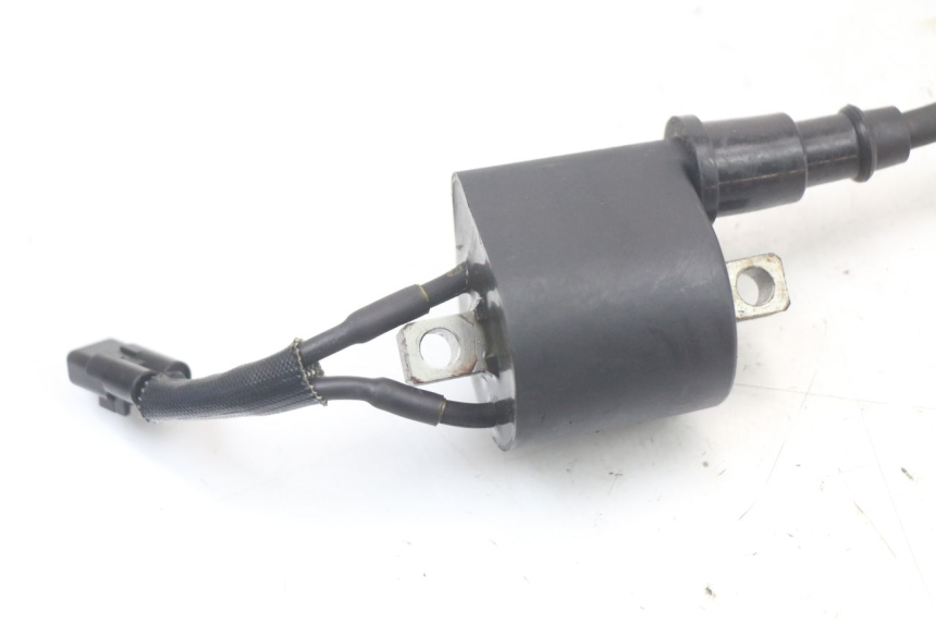 photo de BOBINE MASAI SCRAMBLER SPORT 125 (2021 - 2025)