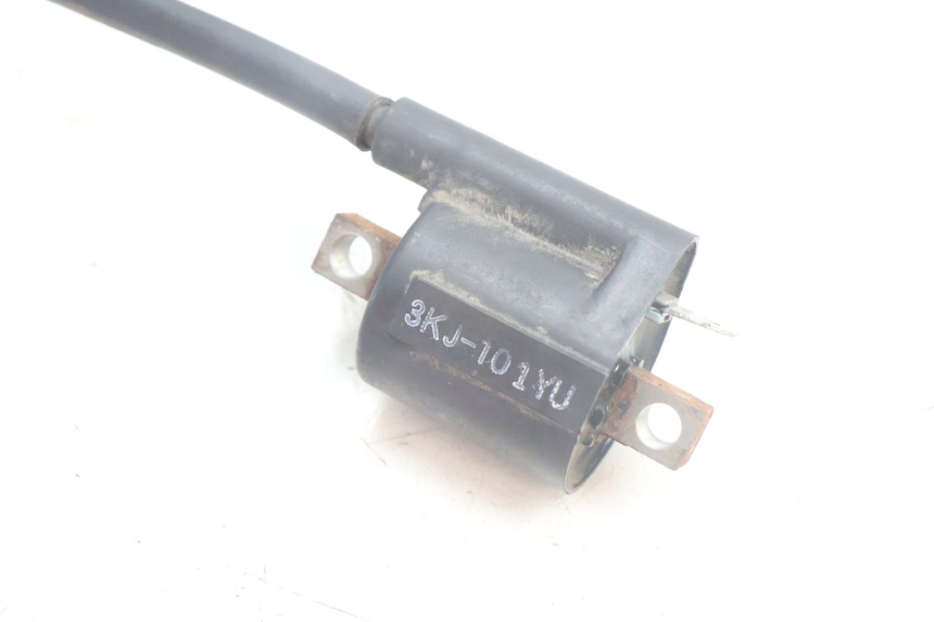 photo de BOBINE YAMAHA NEO'S NEOS 2T 50 (1998 - 2007) - Zoom état d’usage