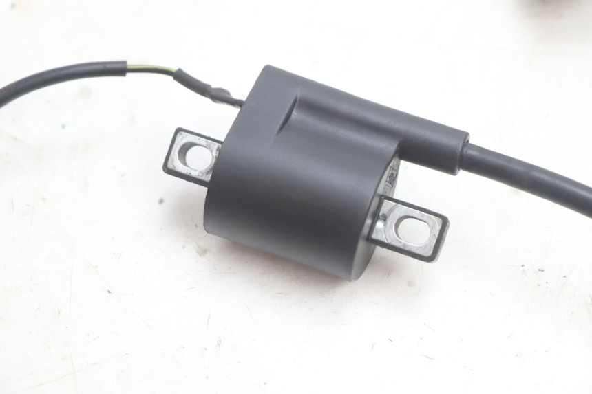 photo de BOBINE IMF INDUSTRIE NEW PACH 2T 50 (2014 - 2020) - Zoom état d’usage