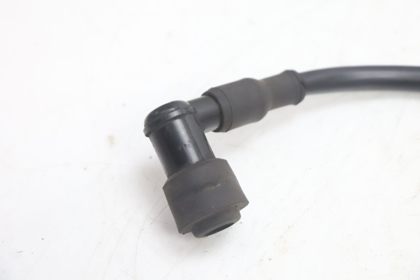photo de BOBINE TNT MOTOR ROMA 10' 2T 50 (2011 - 2018) - Détail de la pièce