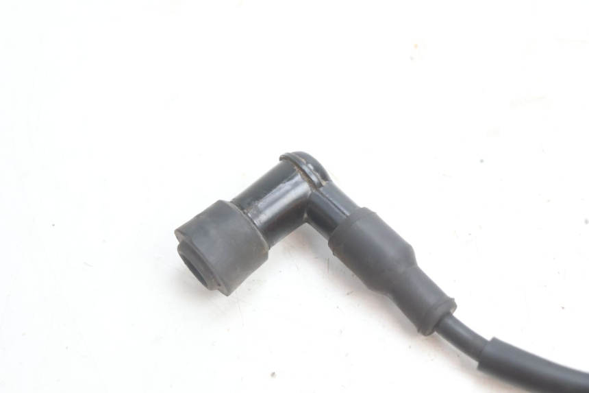photo de BOBINE TNT MOTOR ROMA 10' 2T 50 (2011 - 2018) - Vue d’ensemble