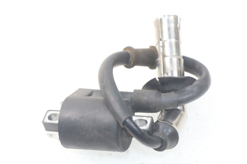 photo de BOBINE TNT MOTOR ROMA 10' 4T 50 (2019 - 2022)