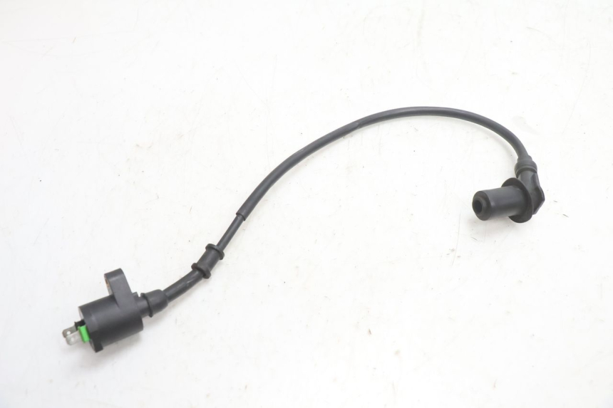 photo de BOBINE TNT MOTOR ROMA 10' 4T 50 (2007 - 2018) - Vue principale