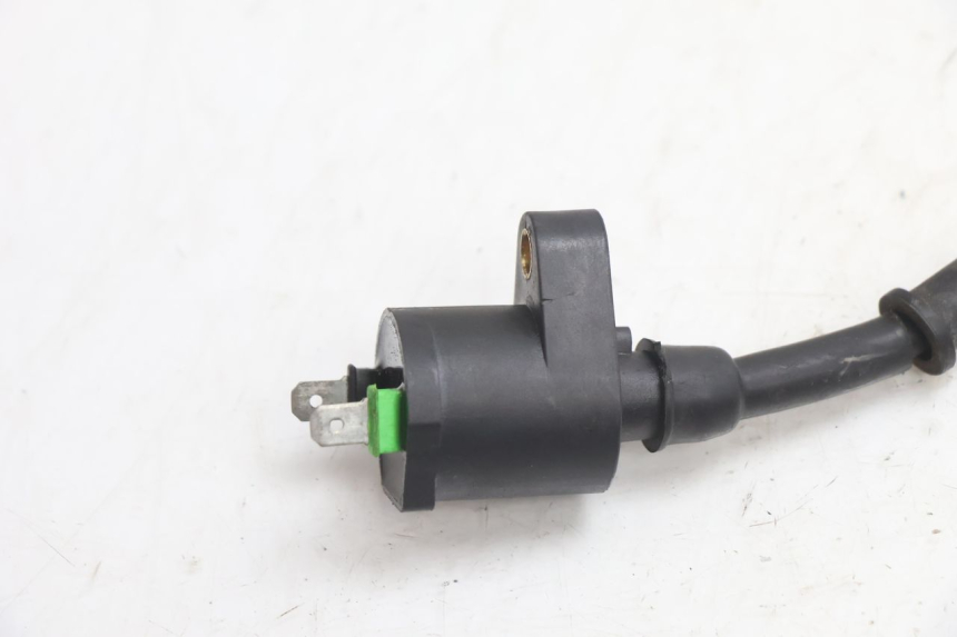 photo de BOBINE TNT MOTOR ROMA 10' 4T 50 (2007 - 2018) - Détail de la pièce