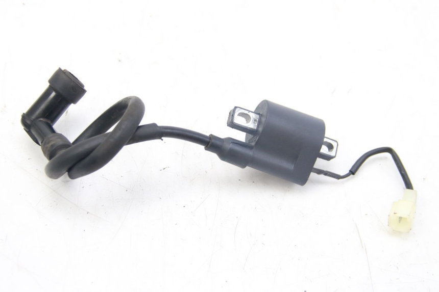 photo de BOBINE TNT MOTOR ROMA 12' 2T 50 (2007 - 2018)