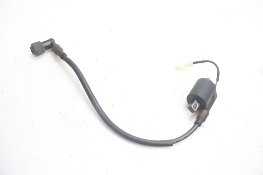 photo de BOBINE TNT MOTOR ROMA 12' 2T 50 (2007 - 2018) - Autre angle de vue