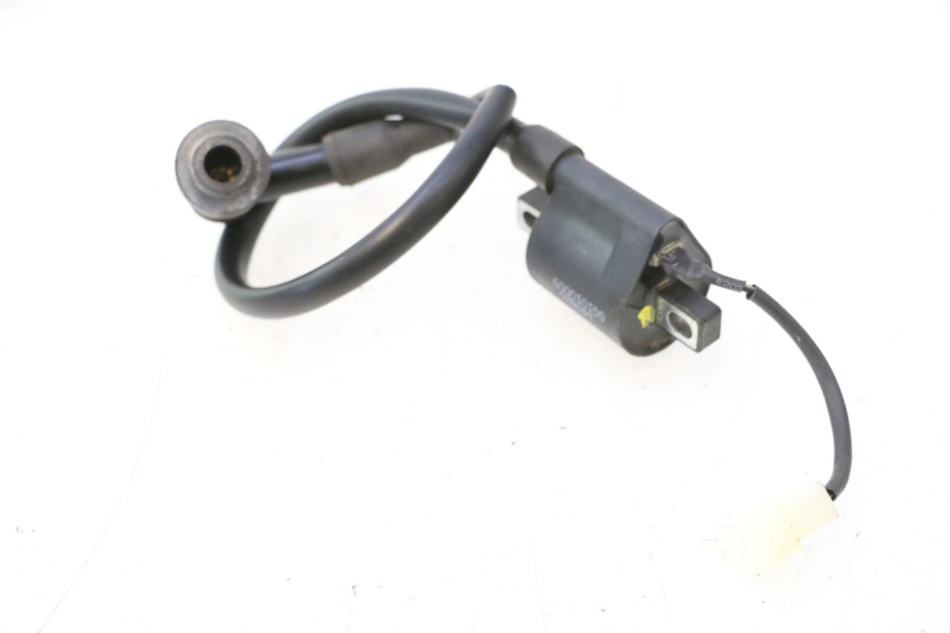 photo de BOBINE TNT MOTOR ROMA 12' 2T 50 (2007 - 2018) - Autre angle de vue