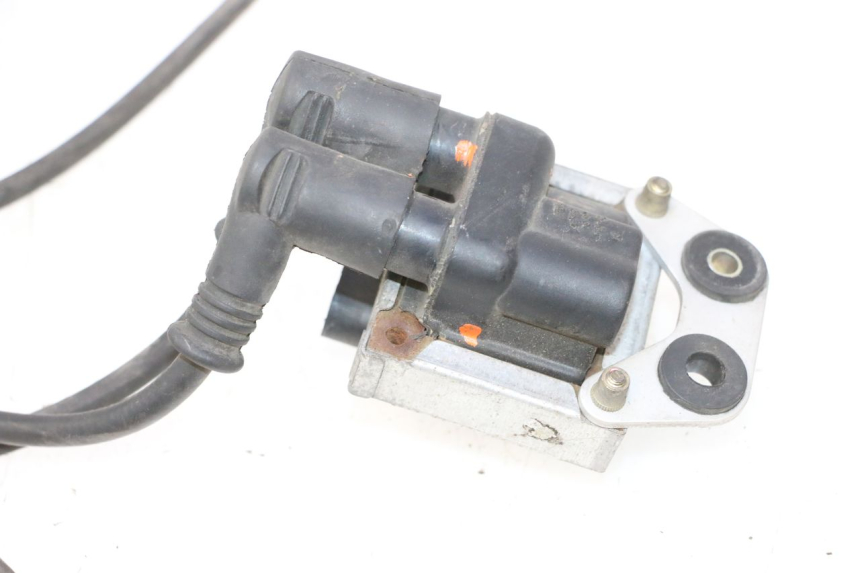 photo de BOBINE DUCATI SS IE DS CARENEE 1000 (2002 - 2006) - Détails caractéristiques