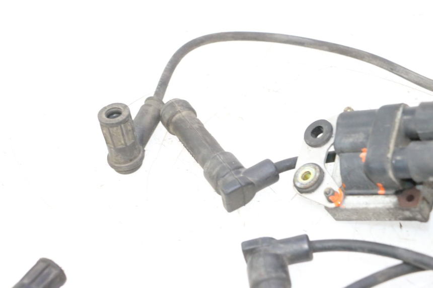 photo de BOBINE DUCATI SS IE DS CARENEE 1000 (2002 - 2006) - Marquages et références