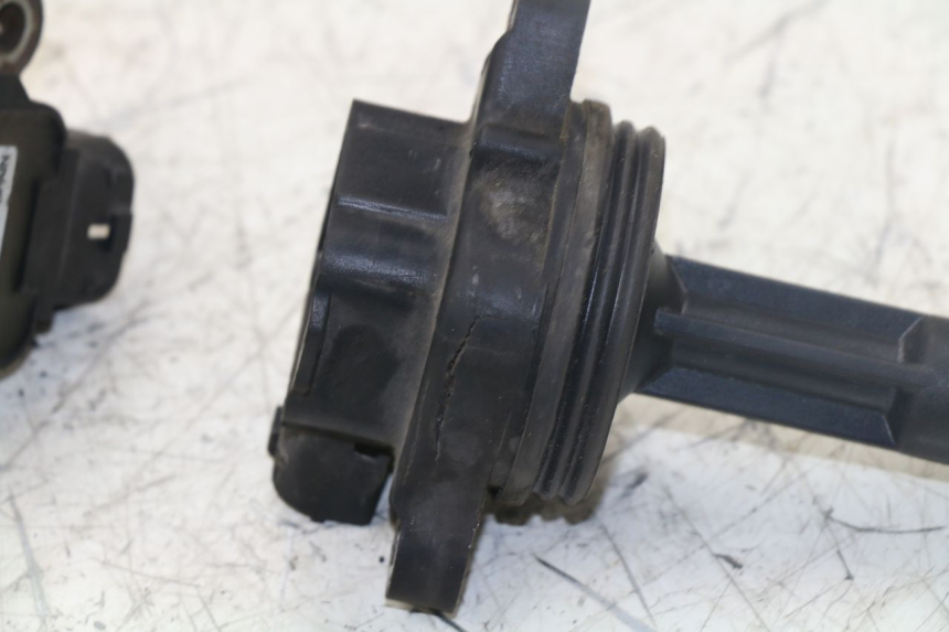 photo de BOBINE TRIUMPH TIGER 955 (2001 - 2004)