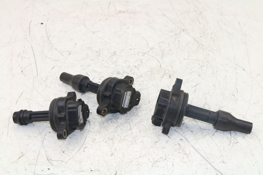 photo de BOBINE TRIUMPH TIGER 955 (2001 - 2004)