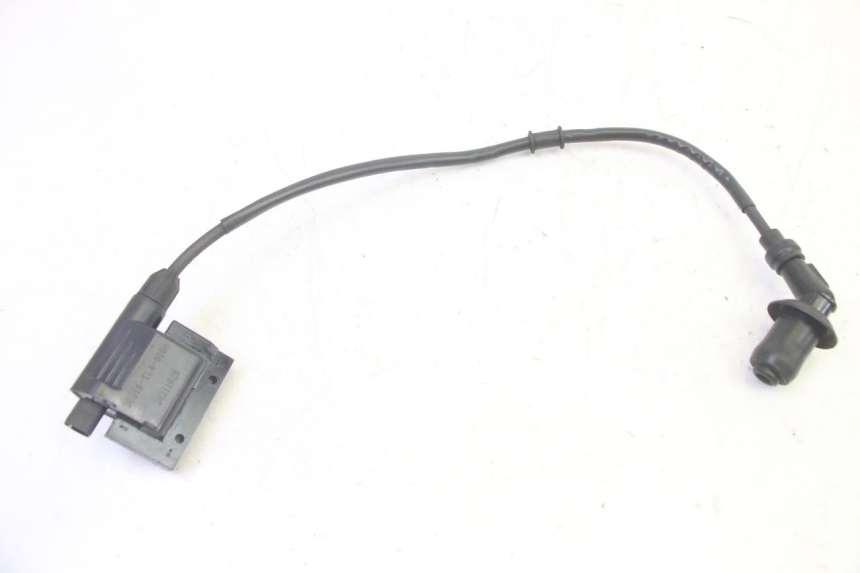 photo de BOBINE PEUGEOT TWEET PRO EFI 4T 50 (2021 - 2022)