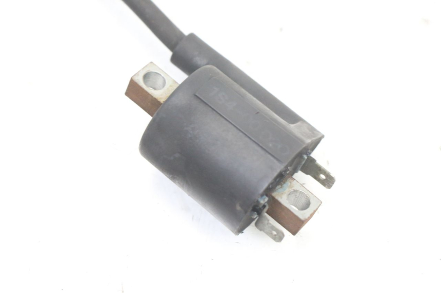 photo de BOBINE YAMAHA X-MAX XMAX ABS 250 (2010 - 2012) - Zoom état d’usage