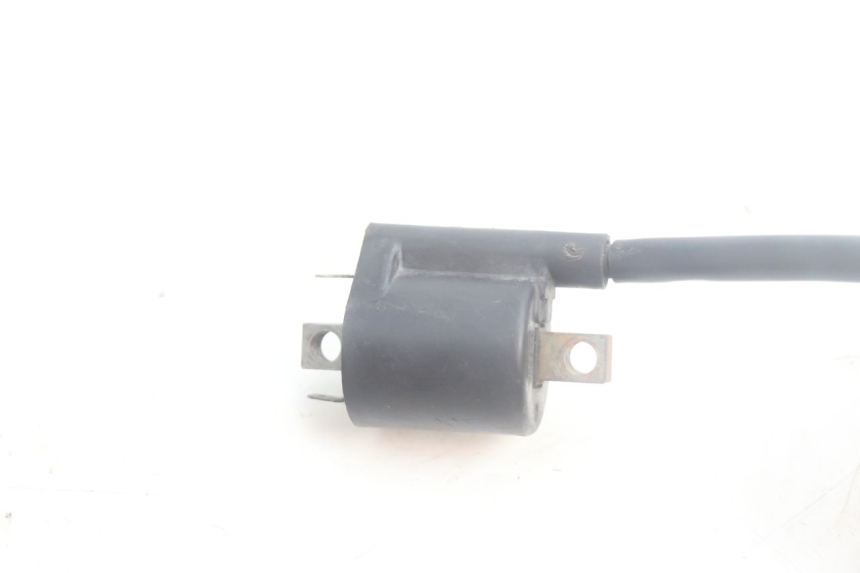 photo de BOBINE YAMAHA XMAX X-MAX 125 (2006 - 2009) - Vue d’ensemble