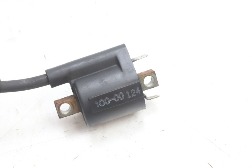 photo de BOBINE YAMAHA X-MAX XMAX 125 (2010 - 2013) - Zoom état d’usage
