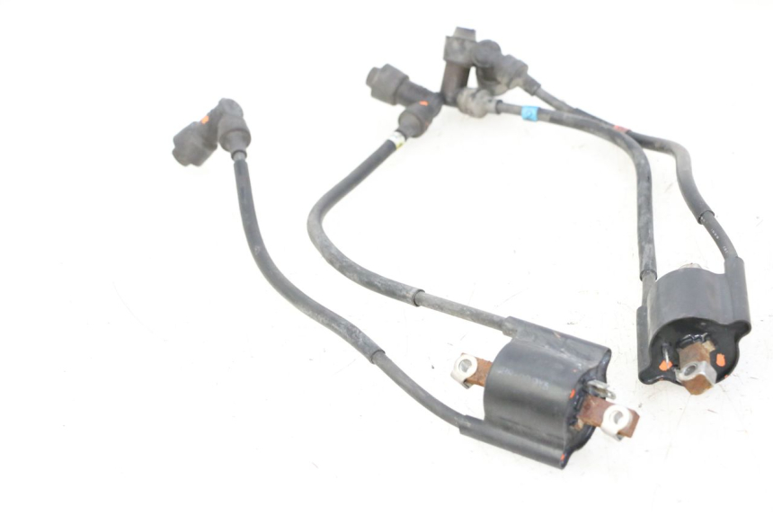 photo de BOBINE YAMAHA XJN DIVERSION 600 (2000 - 2003)