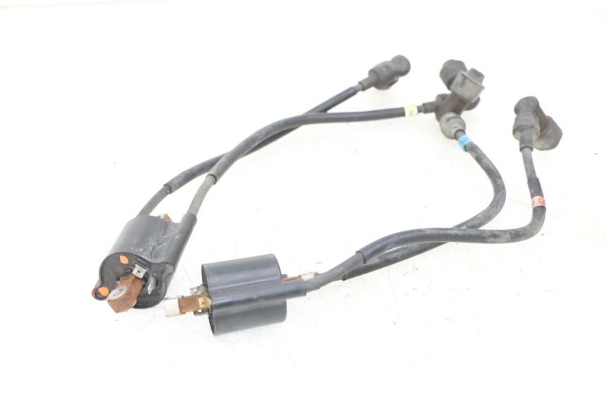 photo de BOBINE YAMAHA XJN DIVERSION 600 (2000 - 2003)