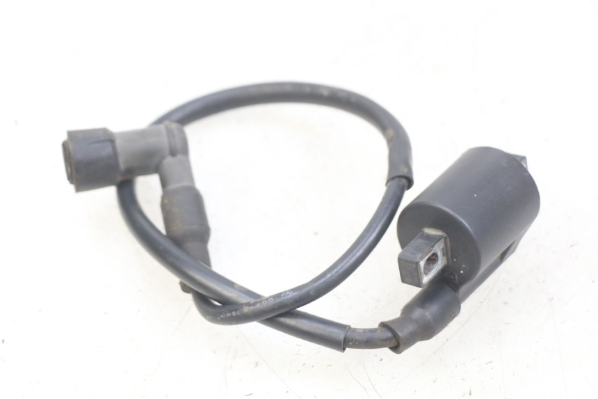 photo de BOBINE YAMASAKI RAPTOR 50 (2013 - 2018)