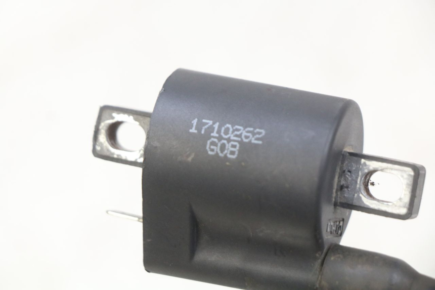 photo de BOBINE YAMASAKI RAPTOR 50 (2013 - 2018)