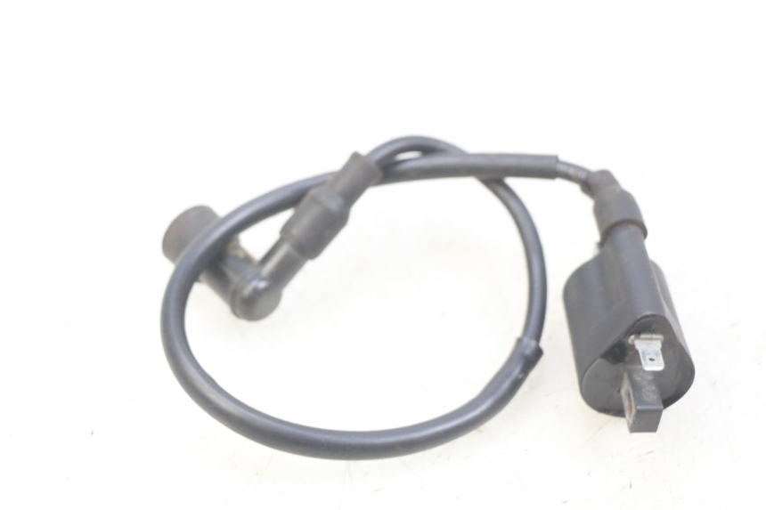photo de BOBINE YAMASAKI RAPTOR 50 (2013 - 2018)