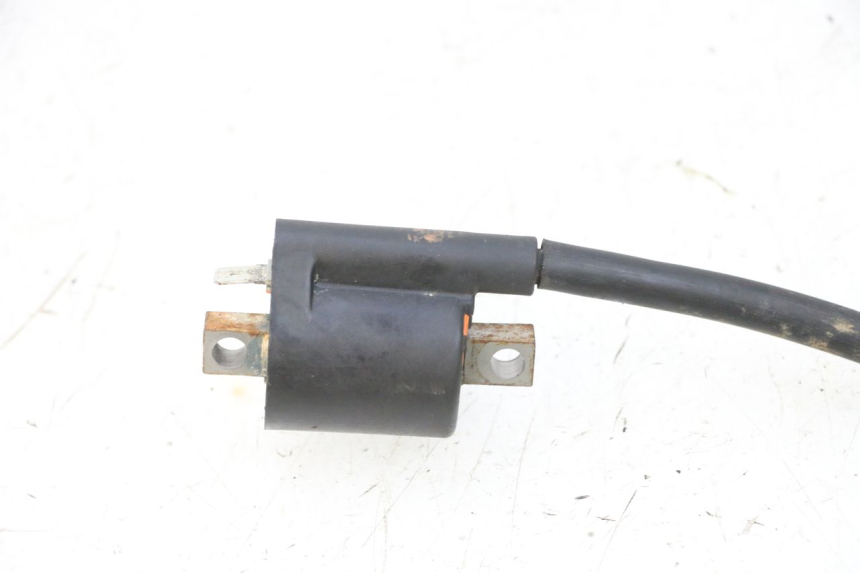 photo de BOBINE YAMAHA YFM R RAPTOR 250 (2008 - 2014) - Autre angle de vue