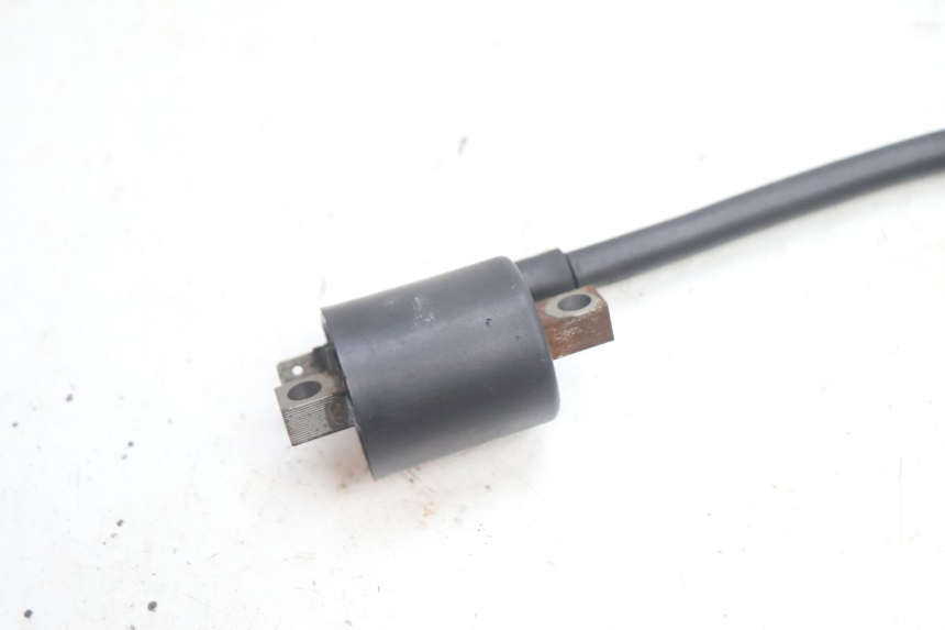 photo de BOBINE YAMAHA YP MAJESTY 125 (2002 - 2006) - Vue d’ensemble