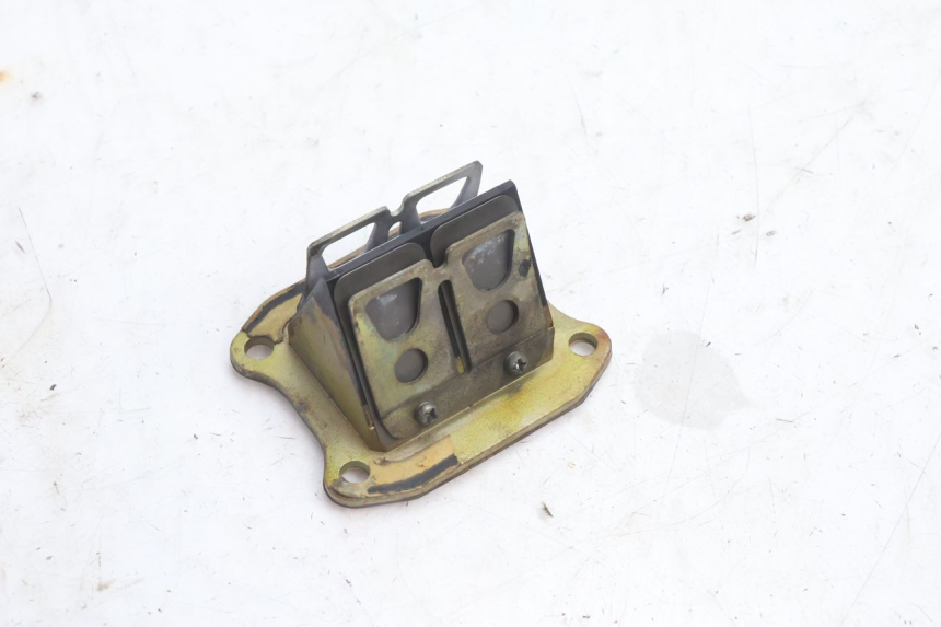 photo de BOITE A CLAPETS HONDA FES PANTHEON 2T 125 (1998 - 2002) - Vue principale