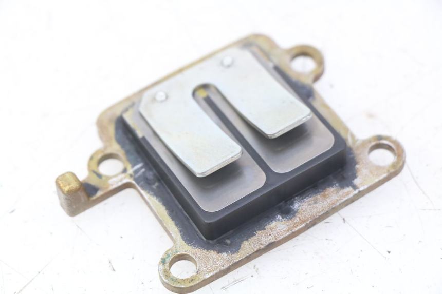 photo de BOITE A CLAPETS YAMAHA SLIDER NAKED 50 (2004 - 2018)