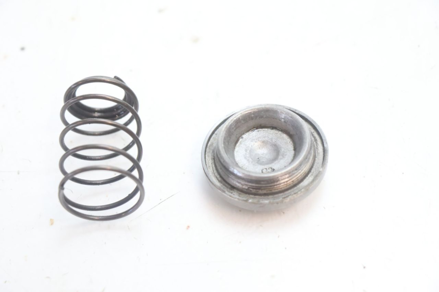 photo de BOUCHON CARTER HUILE HONDA FES S-WING SWING ABS 125 (2007 - 2015) - Zoom état d’usage